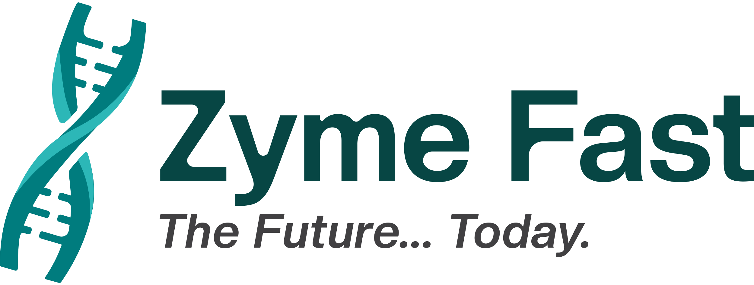 ZymeFast